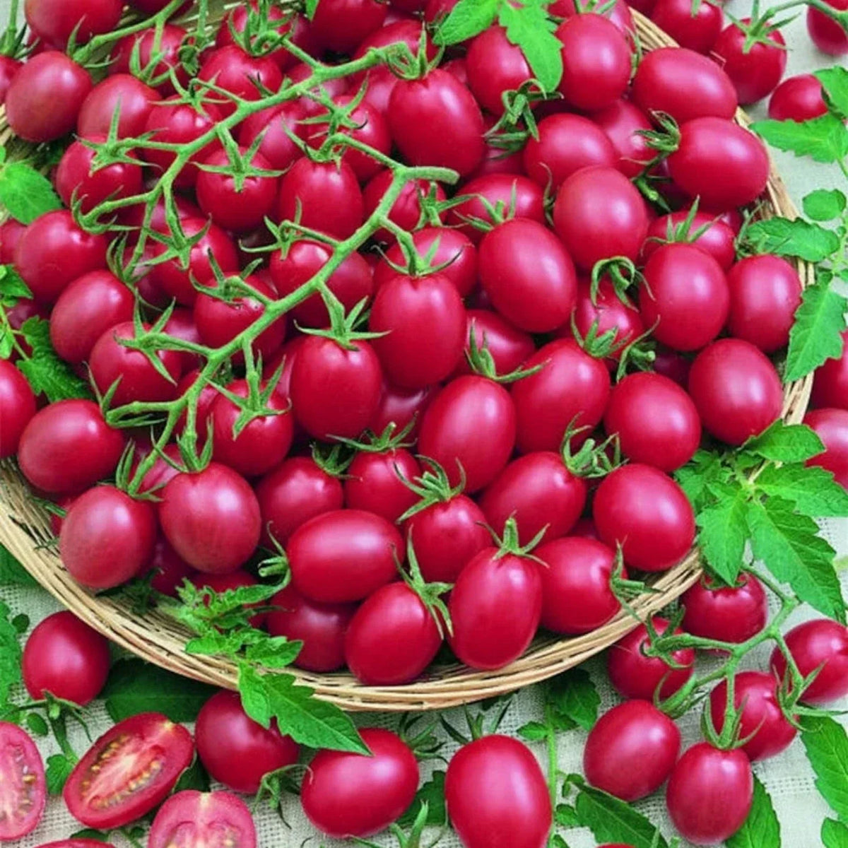 200pcs Heirloom Tomato Seeds - Cherry Pink Grape - Non-GMO Organic Vegetable Seeds - Solanum lycopersicum for Home Garden