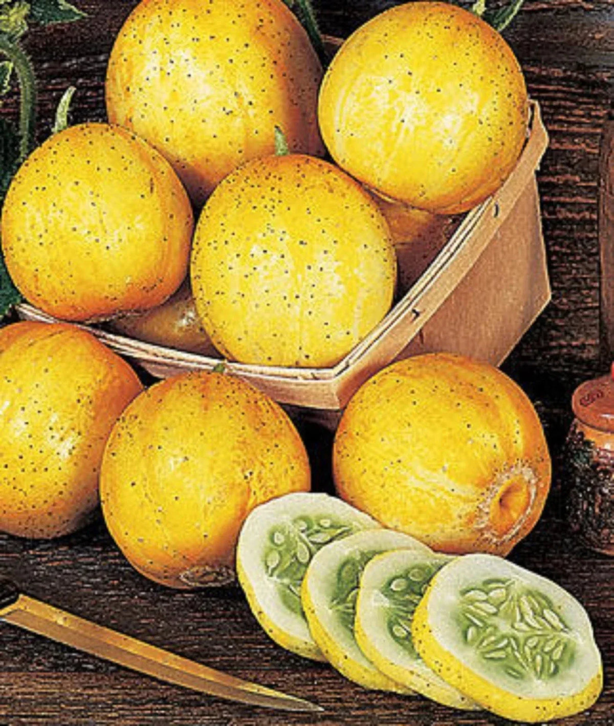 Lemon Cucumber Seeds - 100+ Heirloom Organic Non-GMO - Cucumis sativus - Unique Shape for Salads & Pickling