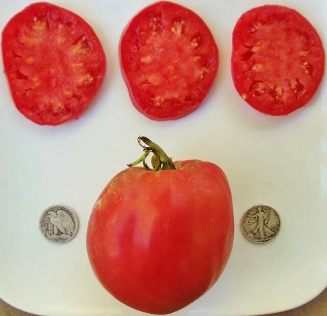 Hungarian Heart Tomato Seeds - 25 Count - Heirloom Variety - Solanum lycopersicum - Sweet, Juicy, Non-GMO, Ideal for Gardens