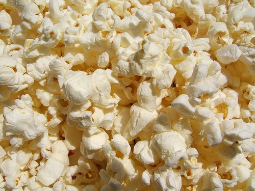 Purdue 305 Popcorn Seeds - Non-GMO Fresh Seeds for Planting - Zea mays everta - Quality Sweet Butter Flavor - 100 Count Pack