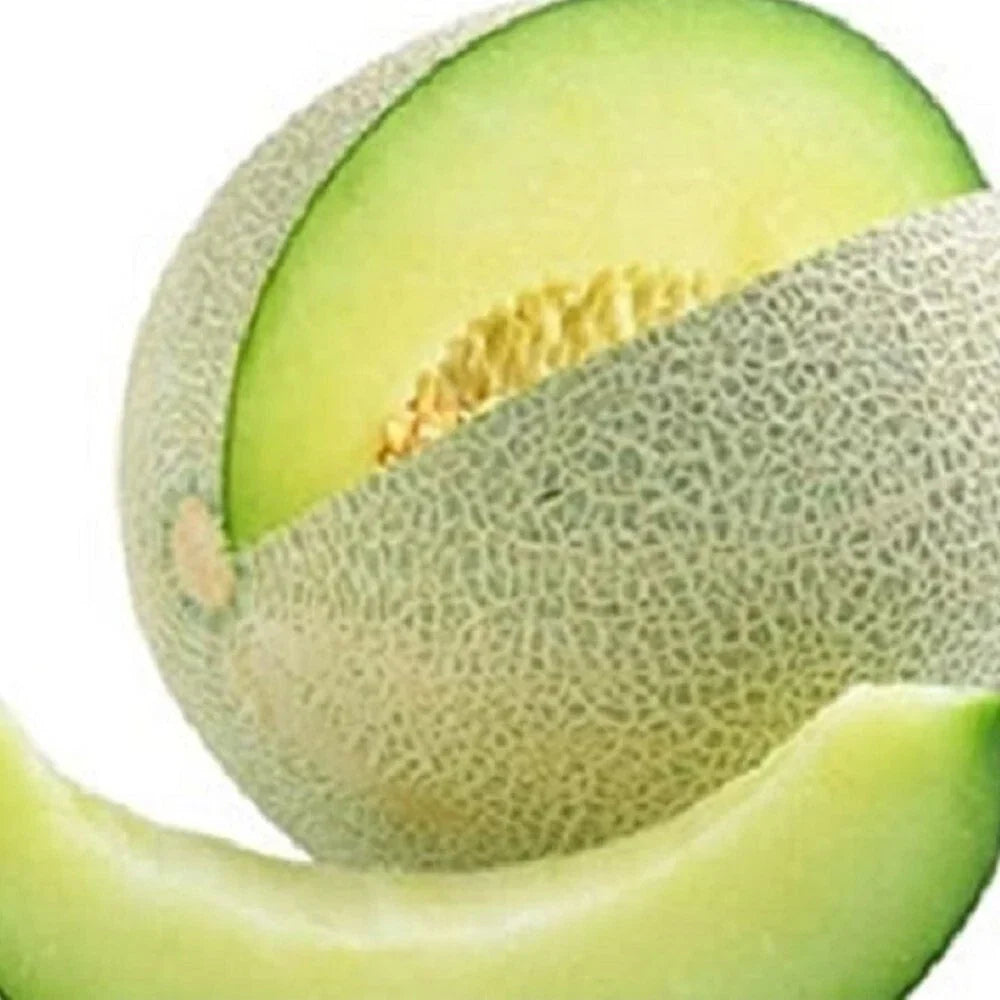 Honeydew Green Melon Seeds | Heirloom NON-GMO | Cucumis melo | Fresh Garden Seeds for Homegrown Melons