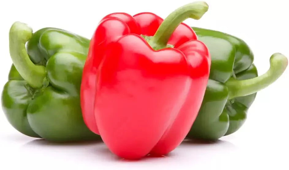 30 Ozark Giant Sweet Pepper Seeds - Capsicum annuum - Large Sweet Bell Peppers for Home Garden