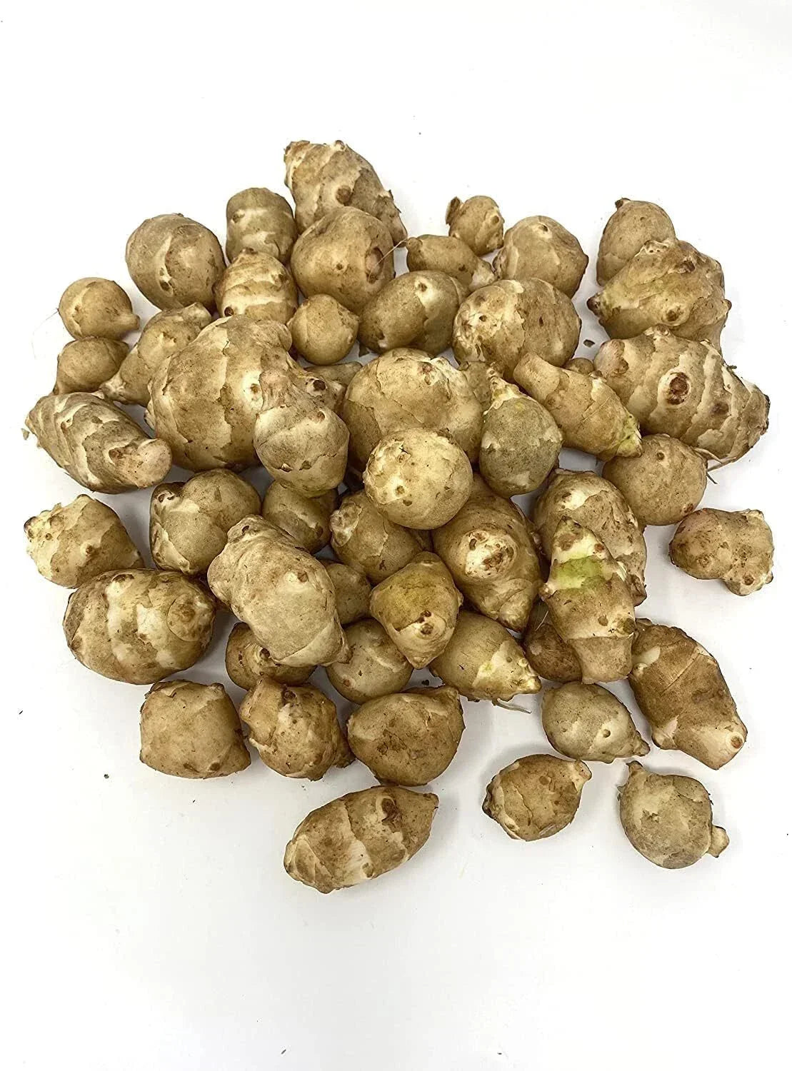 Organic Sunchoke Tubers for Planting - White Jerusalem Artichoke - Helianthus tuberosus - Non-GMO, Easy to Grow Perennial Vegetable