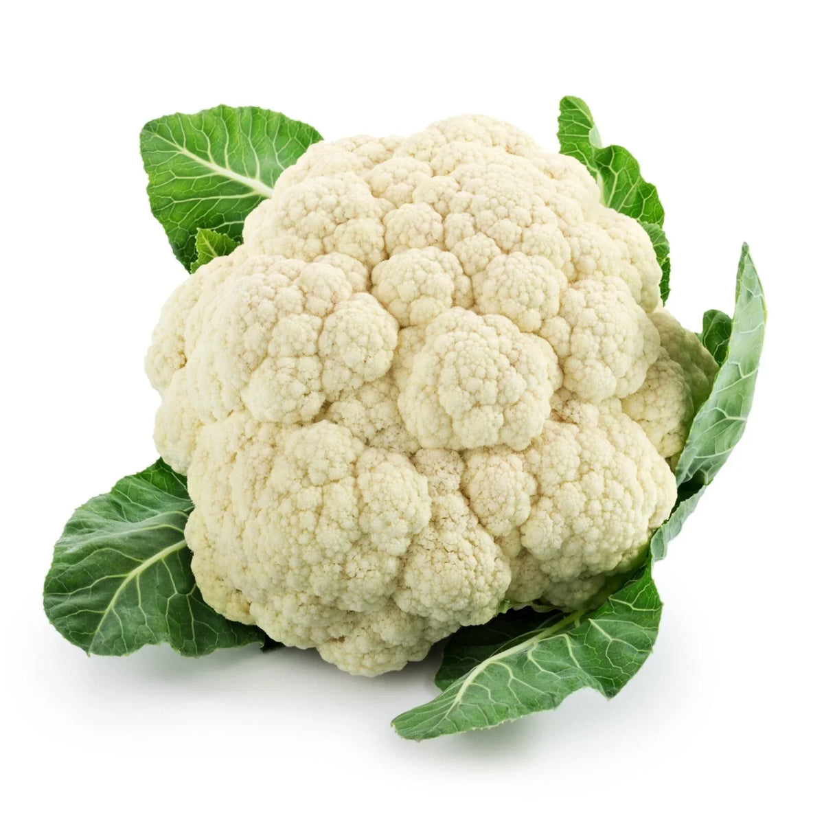 Cauliflower Seeds Packet - Snowball Variety - High Germination Rate - Brassica oleracea - Non-GMO Gardening Seeds
