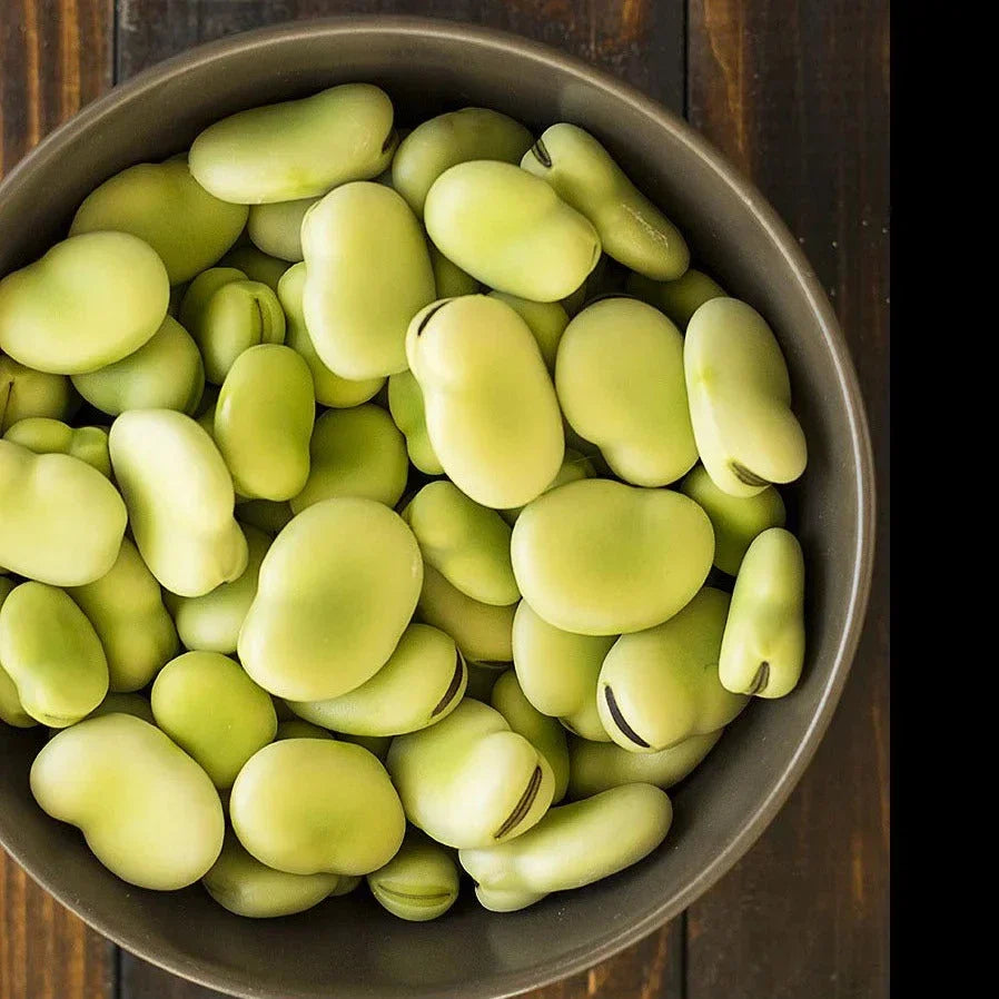 Aquadulce Fava Bean Seeds - 100 Pack - Cold Tolerant Cover Crop - Vicia faba - Ideal for Soil Health & Summer Harvest