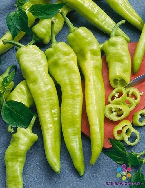 Hungarian Wax Hot Pepper Seeds - 25+ Premium Seeds - Capsicum annuum - Ideal for Home Gardens and Containers