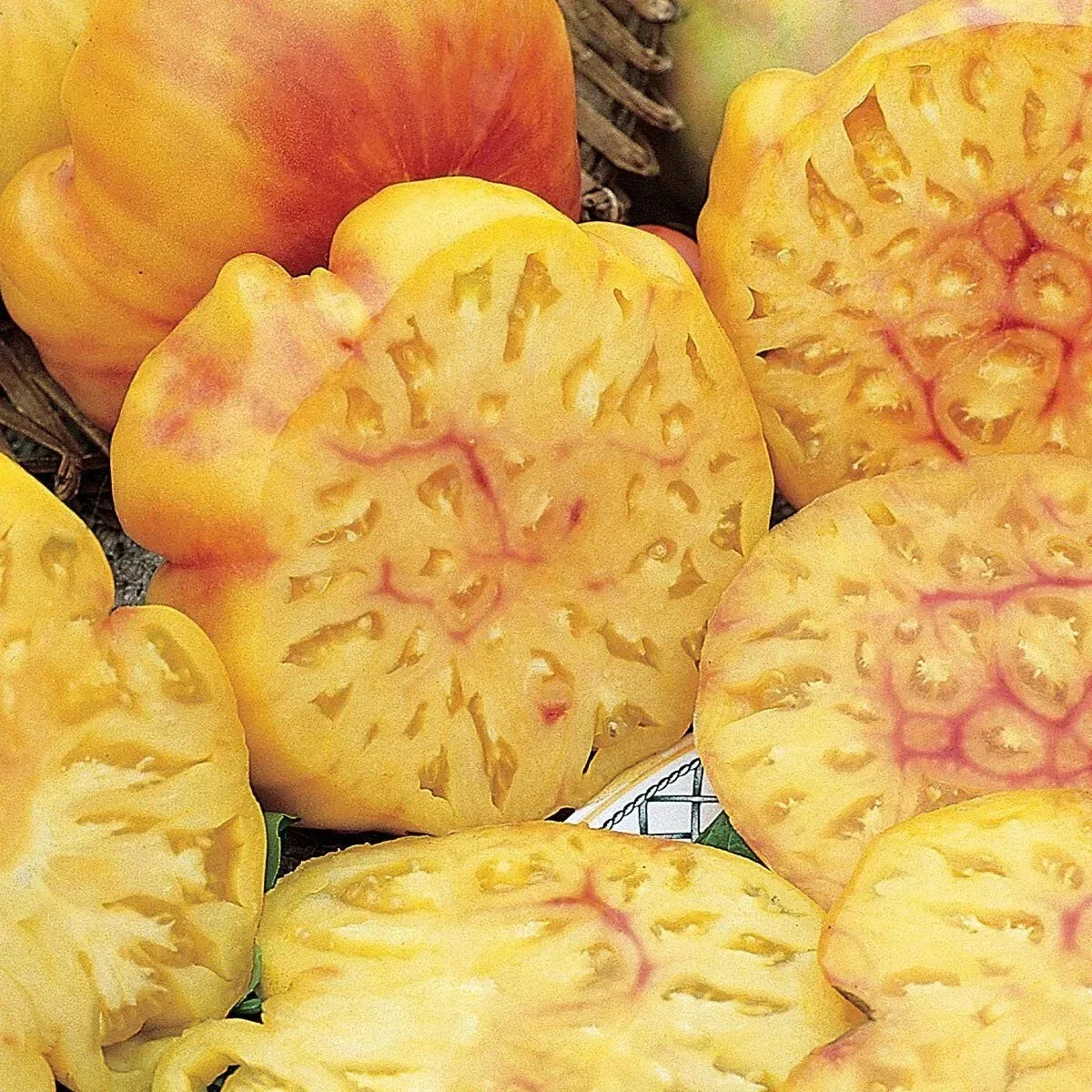 Pineapple Tomato Seeds - 30+ Heirloom Organic Non-GMO - Solanum lycopersicum - Rare Yellow-Orange Variety for Home Garden