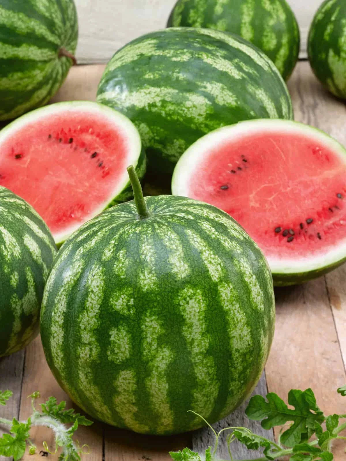 Cal Sweet Bush Watermelon Seeds - 50+ Pack - Citrullus lanatus - Non-GMO - Compact Growth - USA Grown