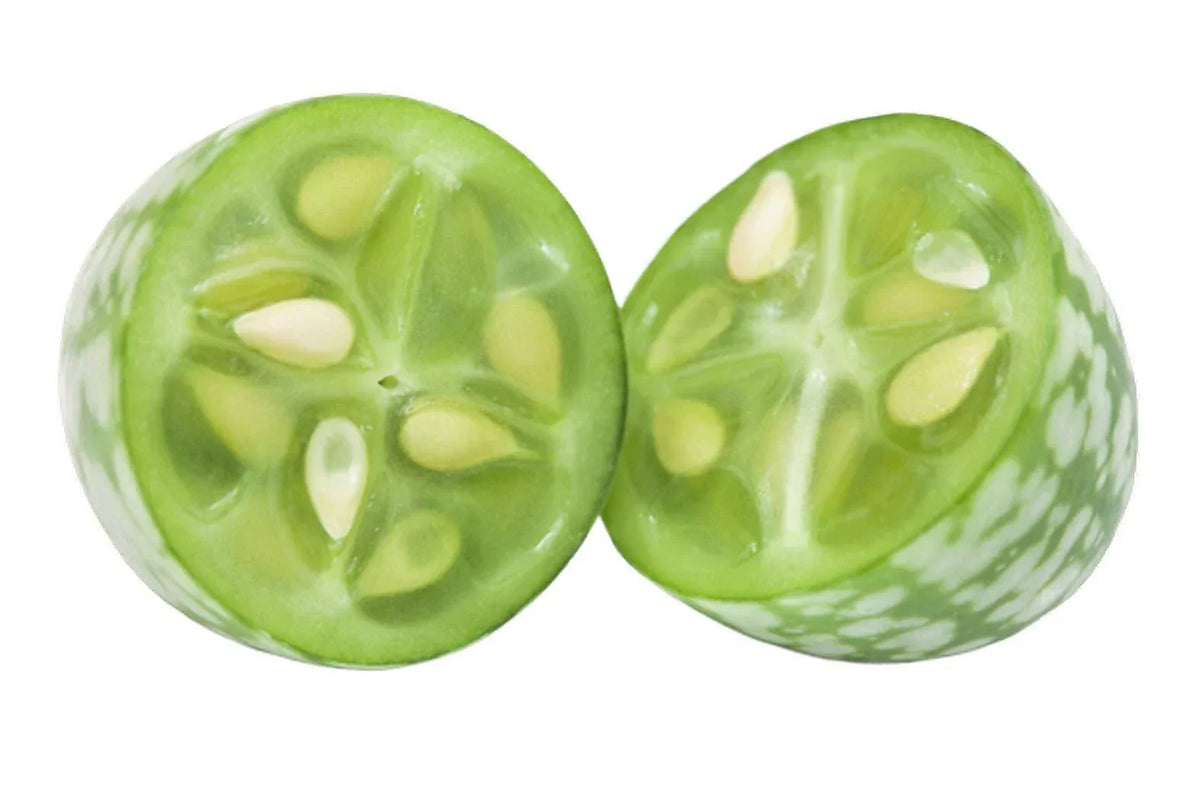 Cucamelon Seeds 20 Count - Mouse Melon, Melothria Scabra, Mini Cucumber, Mexican Sour Gourd for Garden Planting
