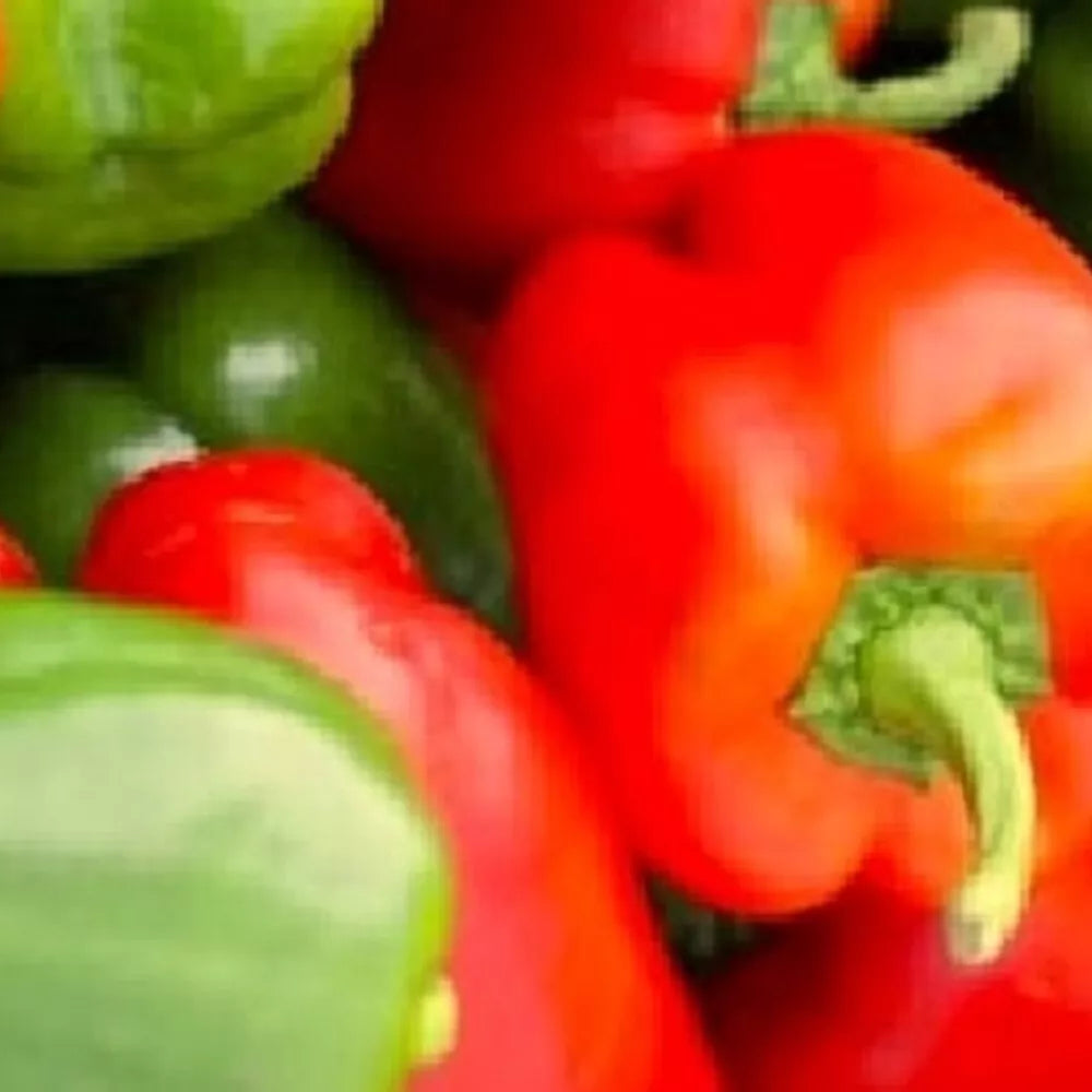 California Wonder Bell Pepper Seeds | Non-GMO Heirloom Variety | Capsicum annuum | Vegetable Seeds for Garden