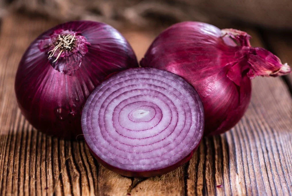 Organic Red Creole Onion Seeds - 50 Heirloom Non-GMO Vegetable Seeds - Allium cepa for Easy Home Gardening