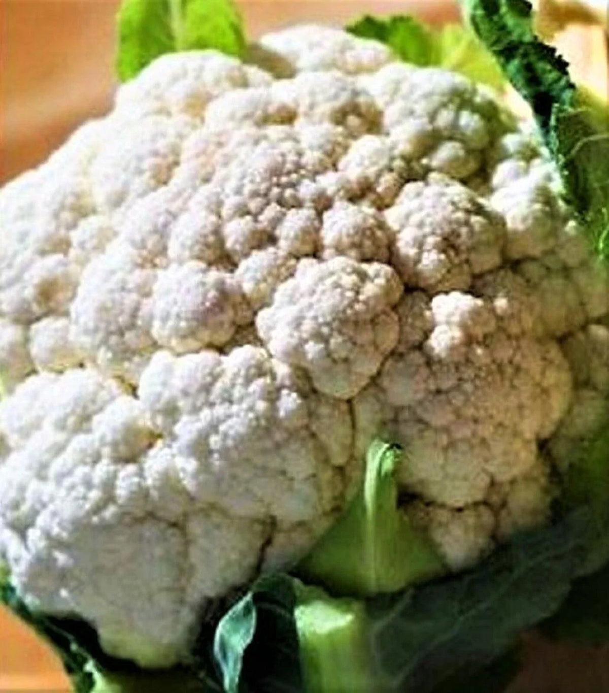Self Blanching Cauliflower Seeds 200+ Non-GMO Brassica oleracea Ideal for Home Gardens and Raised Beds