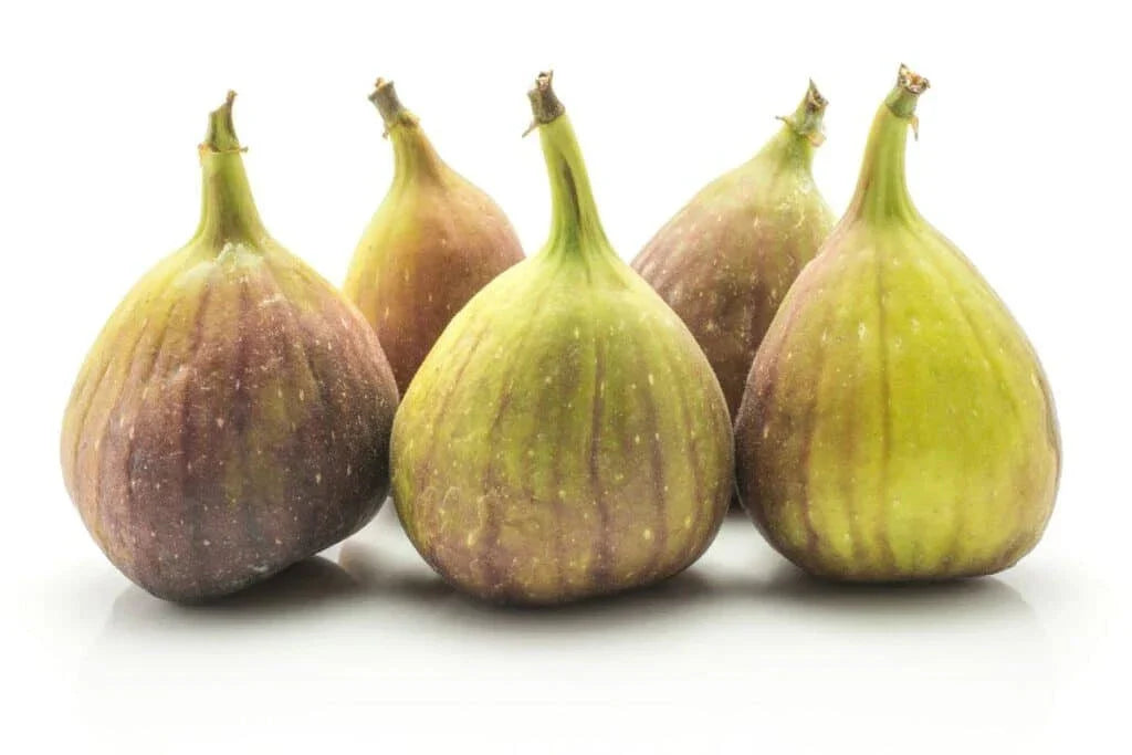 Kadota Fig Seeds - 100+ Count - White Variety - Ficus carica - Ideal for Garden Planting - USA Origin