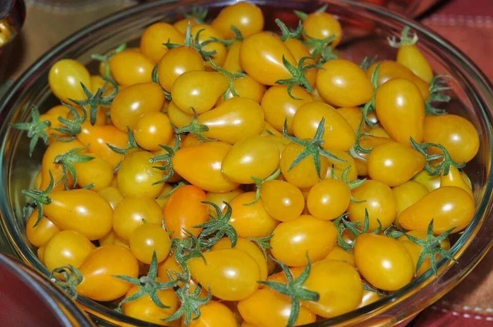Yellow Pear Tomato Seeds - 60+ Non-GMO Heirloom Seeds - Solanum lycopersicum - Sweet & Juicy for Home Gardens