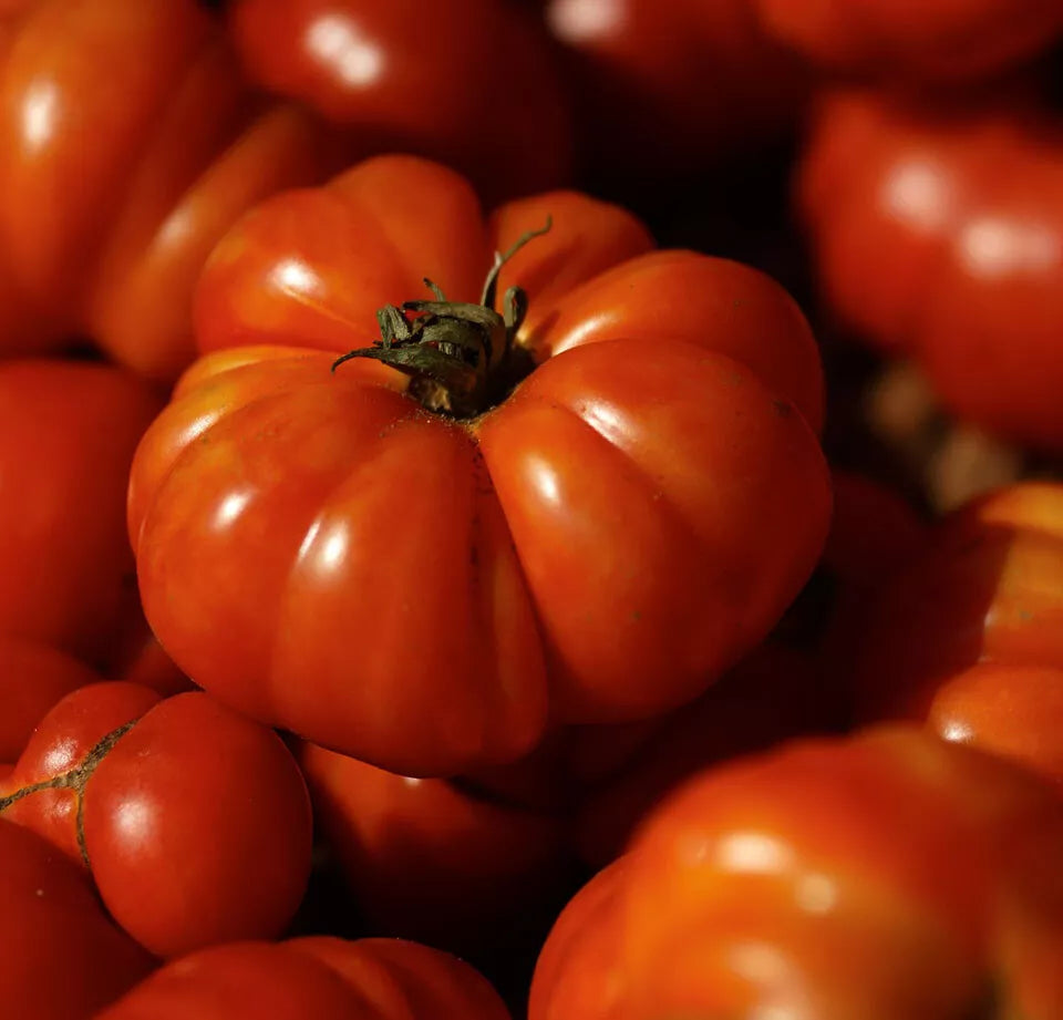 Costoluto Genovese Tomato Seeds, 30 Non-GMO Heirloom Seeds, Lycopersicon esculentum, Ideal for Home Gardening