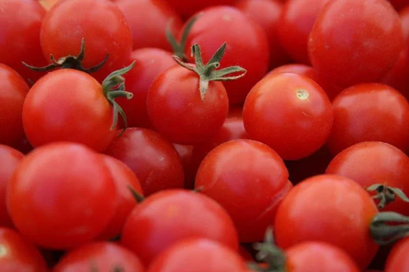 Large Red Cherry Tomato Seeds - 100 Ct - Heirloom Non-GMO - Solanum lycopersicum - Sweet & Juicy for Home Gardening