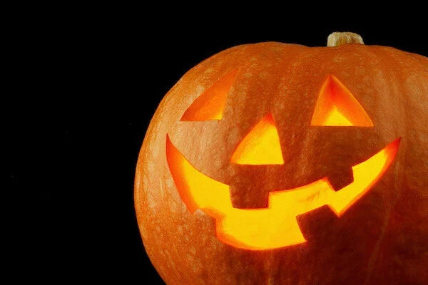 Jack O' Lantern Pumpkin Seeds - 20+ Heirloom Seeds for Planting, Cucurbita pepo, Ideal for Halloween & Cooking