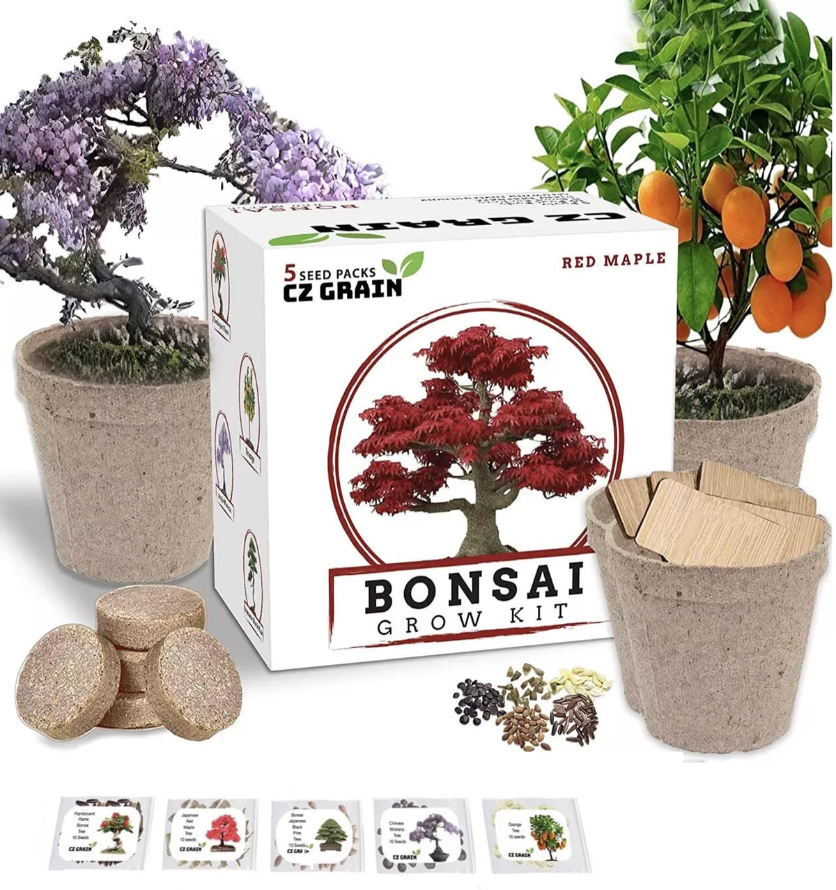 Bonsai Tree Kit - 5 Varieties - Ficus, Juniper, Pine, Maple, Elm - All-in-One Plant Kit for Beginners and Experts