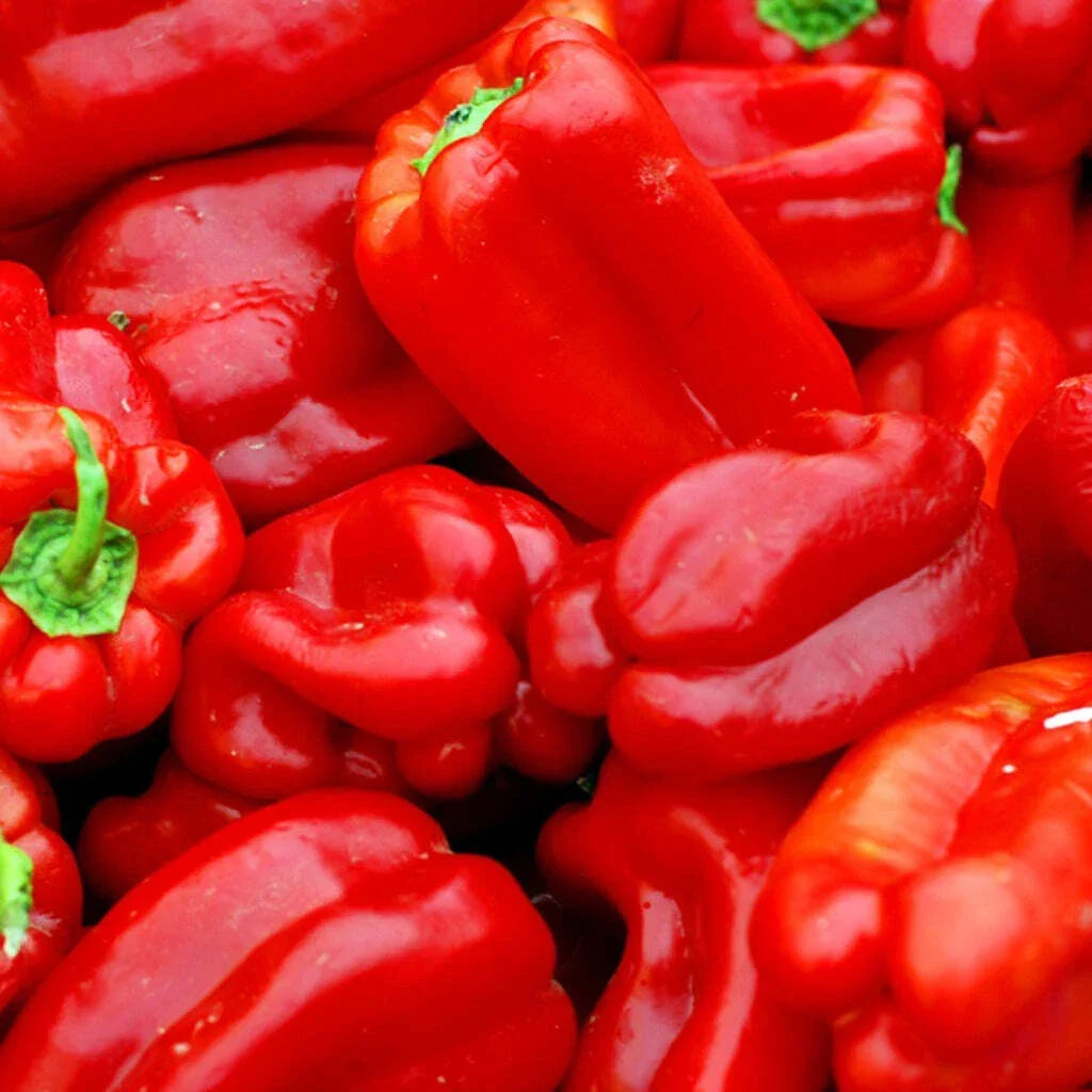 Heirloom Big Red Sweet Pepper Seeds - 25+ Capsicum Annuum - Non-GMO Vegetable Seeds for Home Garden - USA Grown