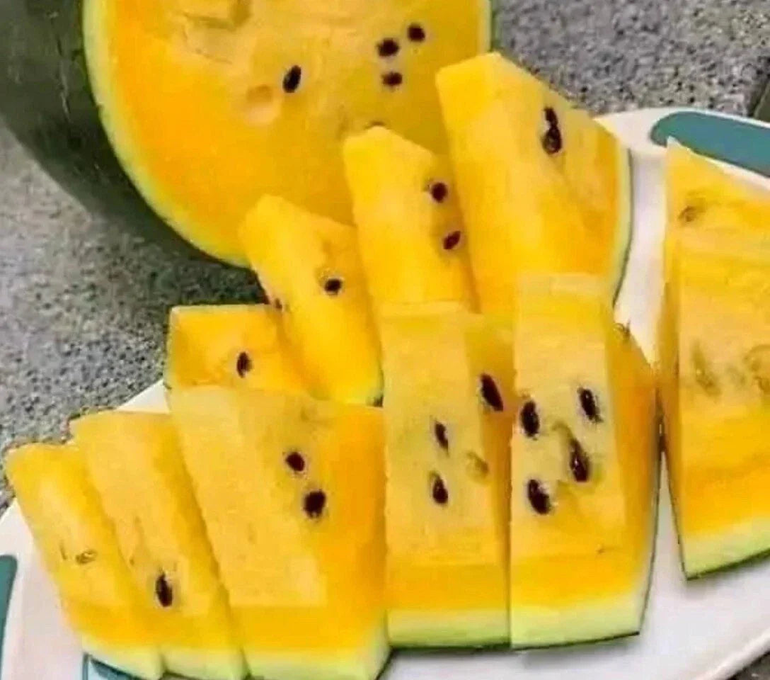 Yellow Watermelon Seeds - 10+ Non-GMO, Rare Variety - Citrullus lanatus - Sweet, Juicy & True to Color for Home Gardens