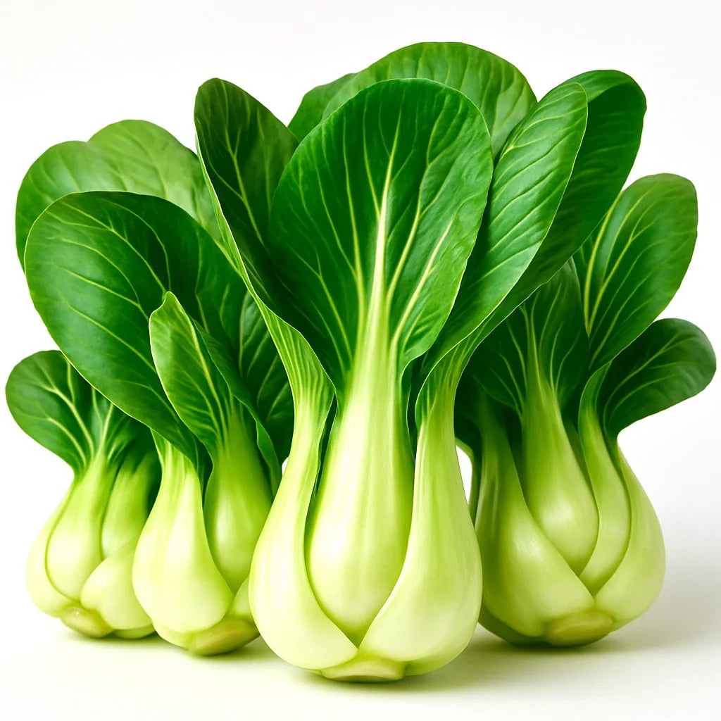 Pak Choi Seeds 1200+ Heirloom Microgreens Chinese White Cabbage Brassica rapa subsp. chinensis - Non-GMO, Easy to Grow