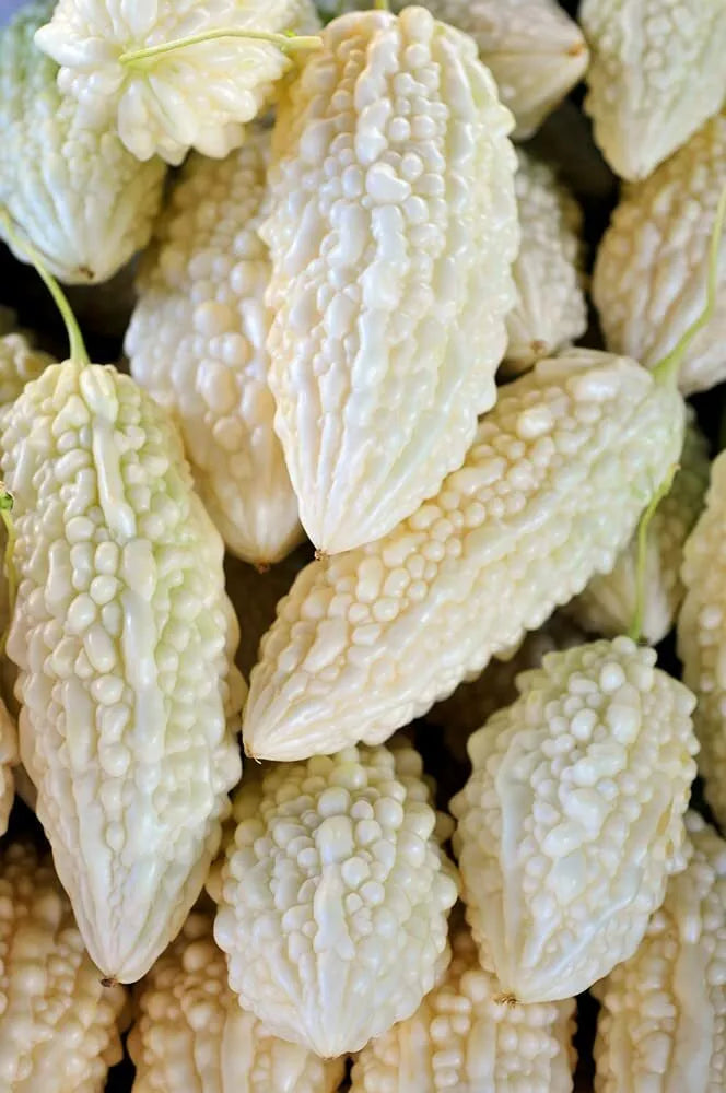 White Bitter Melon Seeds - 6 Pack for Planting - Momordica charantia - Organic Bitter Gourd Variety for Home Gardening