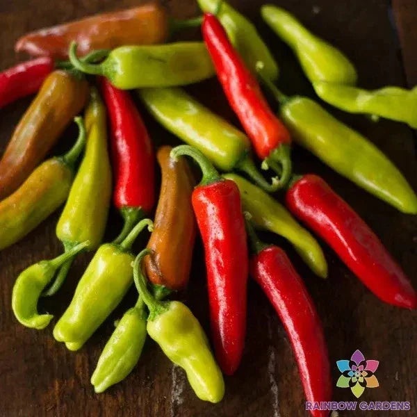 Italian Pepperoncini Seeds - 25+ Count - Capsicum annuum - Sweet Peppers for Garden, Containers, and Raised Beds