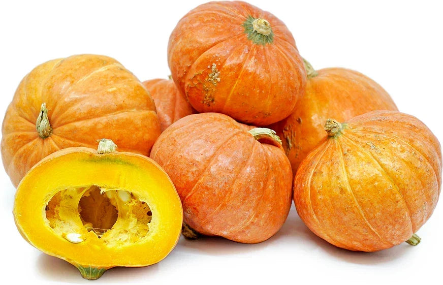 Gold Nugget Squash Seeds | Organic Seeds for Planting | Cucurbita pepo | Non-GMO, Compact Bush Variety, 20 Seeds