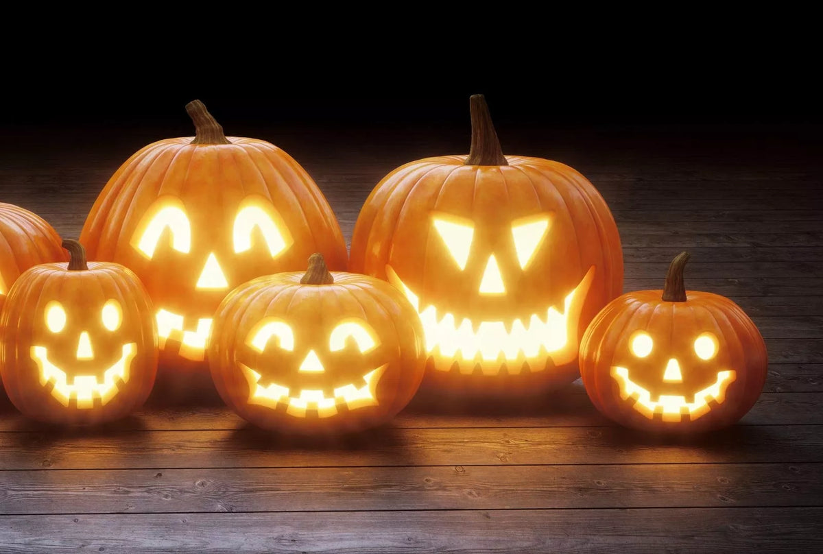 Jack O' Lantern Pumpkin Seeds - 20 Seeds - Medium Orange Fruit - Cucurbita pepo for Planting and Halloween Decor