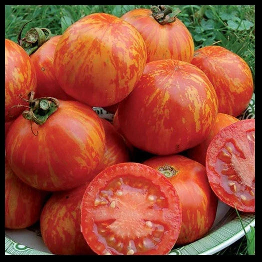 Red Zebra Tomato Seeds - Heirloom Variety - 10 to 100 Count - Solanum lycopersicum - Colorful, Flavorful, Non-GMO