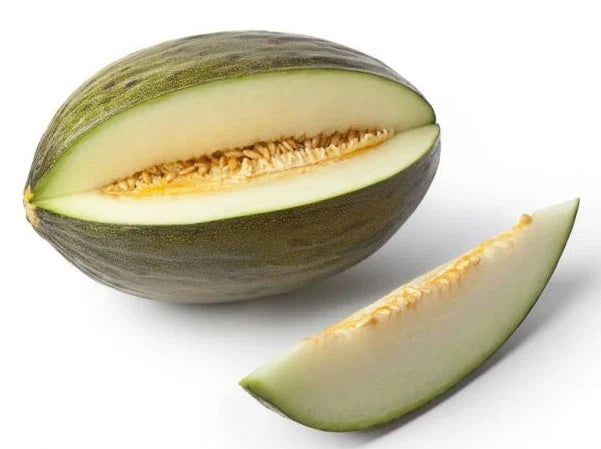 Early Valencia Melon Seeds - 12+ Organic Heirloom Honeydew - Cucumis melo - Sweet, Juicy Melons for Home Gardening