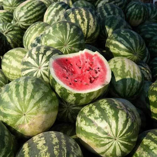 Crimson Sweet Watermelon Seeds - Heirloom Non-GMO - 25+ Seeds - Citrullus lanatus - Perfect for Home Gardens