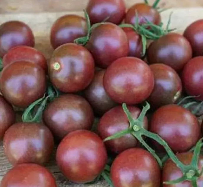 Black Cherry Tomato Seeds - 20+ Indeterminate Variety - Solanum lycopersicum - Ideal for Garden Salad & Container Gardening