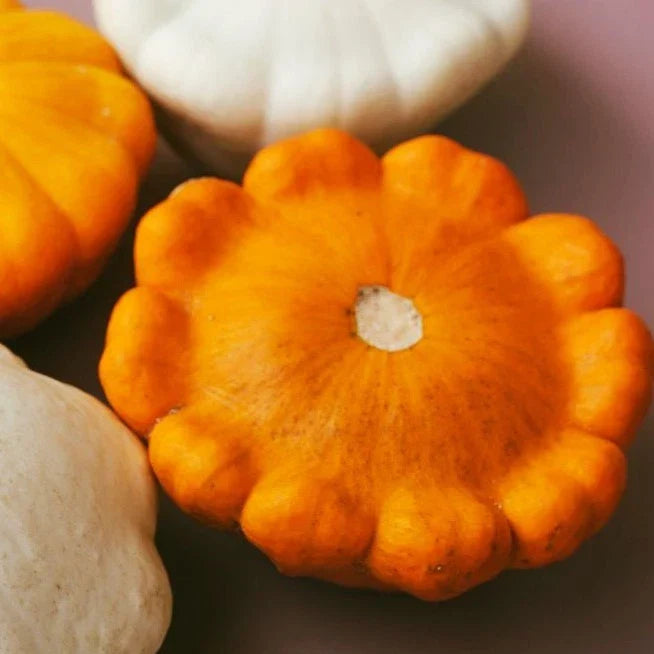 Orange Patty Pan Seeds - Heirloom Bush Scallop Squash - Cucurbita pepo - Perfect for Home Garden - Non-GMO, High Yield