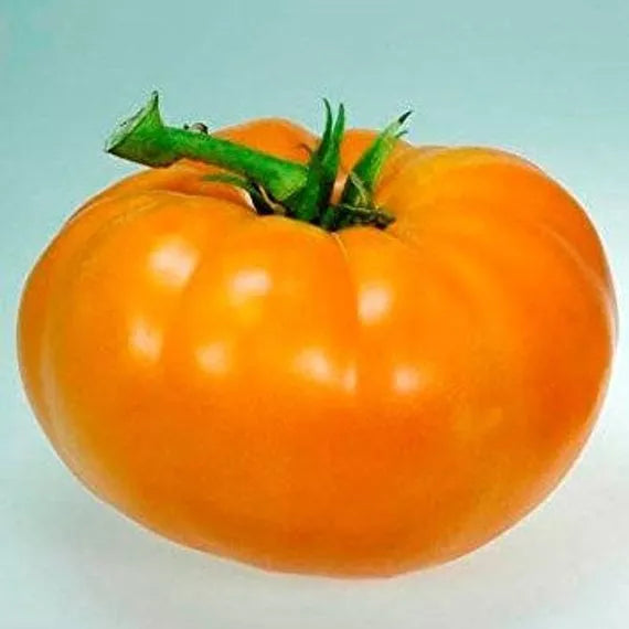 Amana Orange Tomato Seeds, 30 Count, Non-GMO Heirloom, Sweet Flavor, Solanum lycopersicum, Ideal for Home Gardening