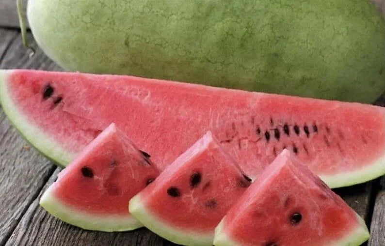 Organic Charleston Grey Watermelon Seeds - 50 Heirloom, Non-GMO, Citrullus lanatus, USA Grown