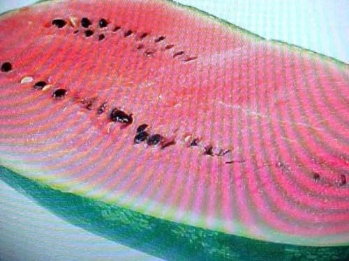 Large Black Diamond Red Watermelon Seeds - 10 Pack - Citrullus lanatus - Sweet & Juicy Fruit for Home Garden