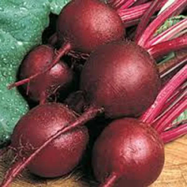 Beet Seeds - 25+ Ruby Queen Heirloom - Non-GMO Dark Red Sweet Beets - Beta vulgaris - Perfect for Home Gardening