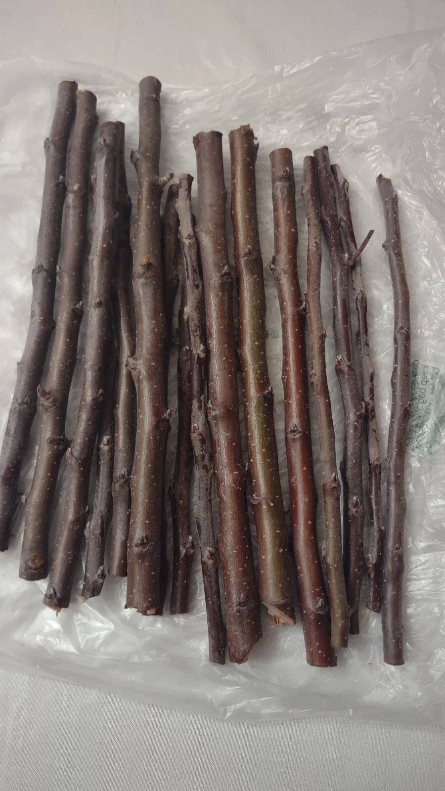 Golden Delicious Apple Tree Scions - 6 Organic Cuttings - Malus domestica 'Golden Delicious' for Grafting