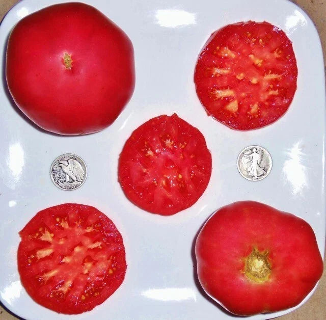German Pink Tomato Seeds - 25 Fresh Heirloom Seeds (Solanum lycopersicum) - Non-GMO for Garden Planting