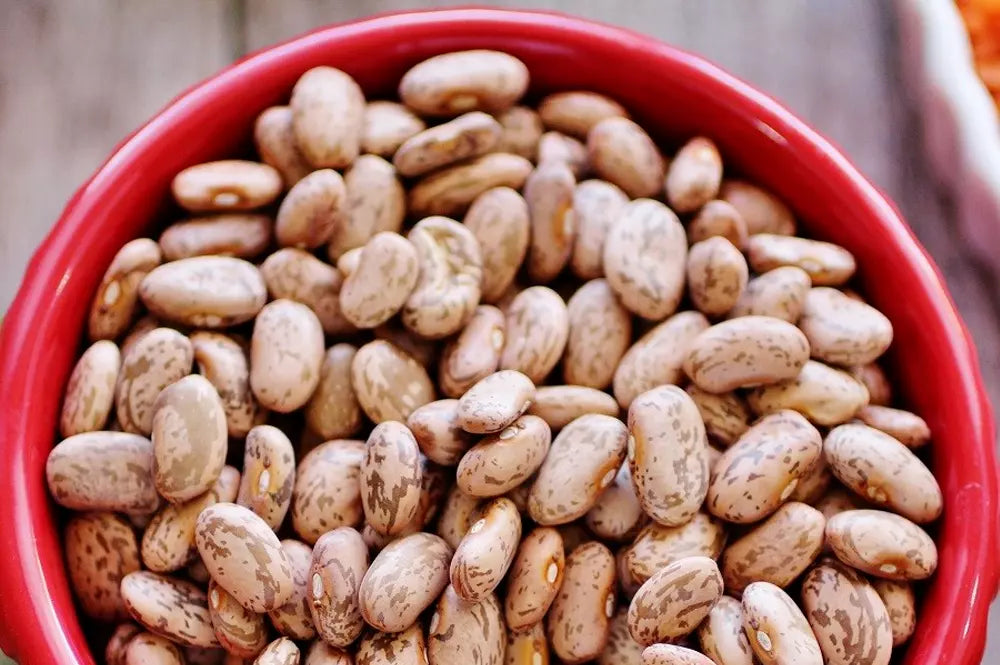 Pinto Bean Seeds - 200+ Organic Heirloom Seeds - Phaseolus vulgaris - Bush Variety for Home Gardening and Planting