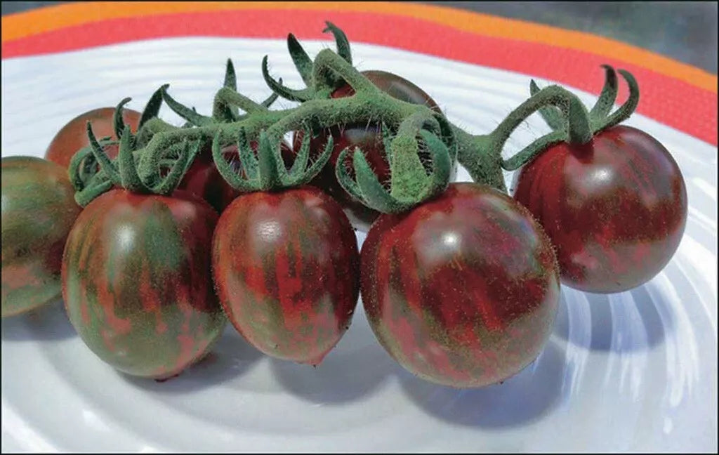 Chocolate Cherry Tomato Seeds - 120+ Organic Heirloom Seeds - Sweet Flavor - Solanum lycopersicum - Unique Garden Variety