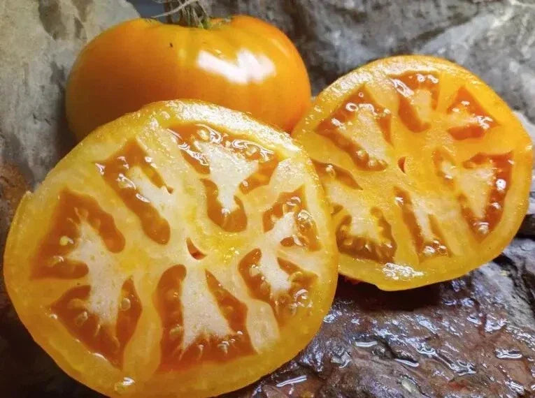 Golden Jubilee Tomato Seeds - 30+ Organic Heirloom Seeds - Solanum lycopersicum - Perfect for Home Gardening