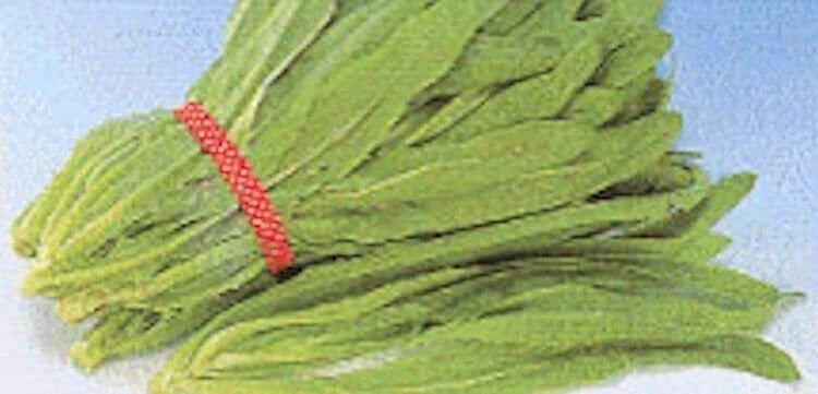 Sword Leaf Lettuce Seeds - Heirloom A Choy Variety, Non-GMO, Organic, Lactuca sativa, Fast Growing, Ideal for Salads