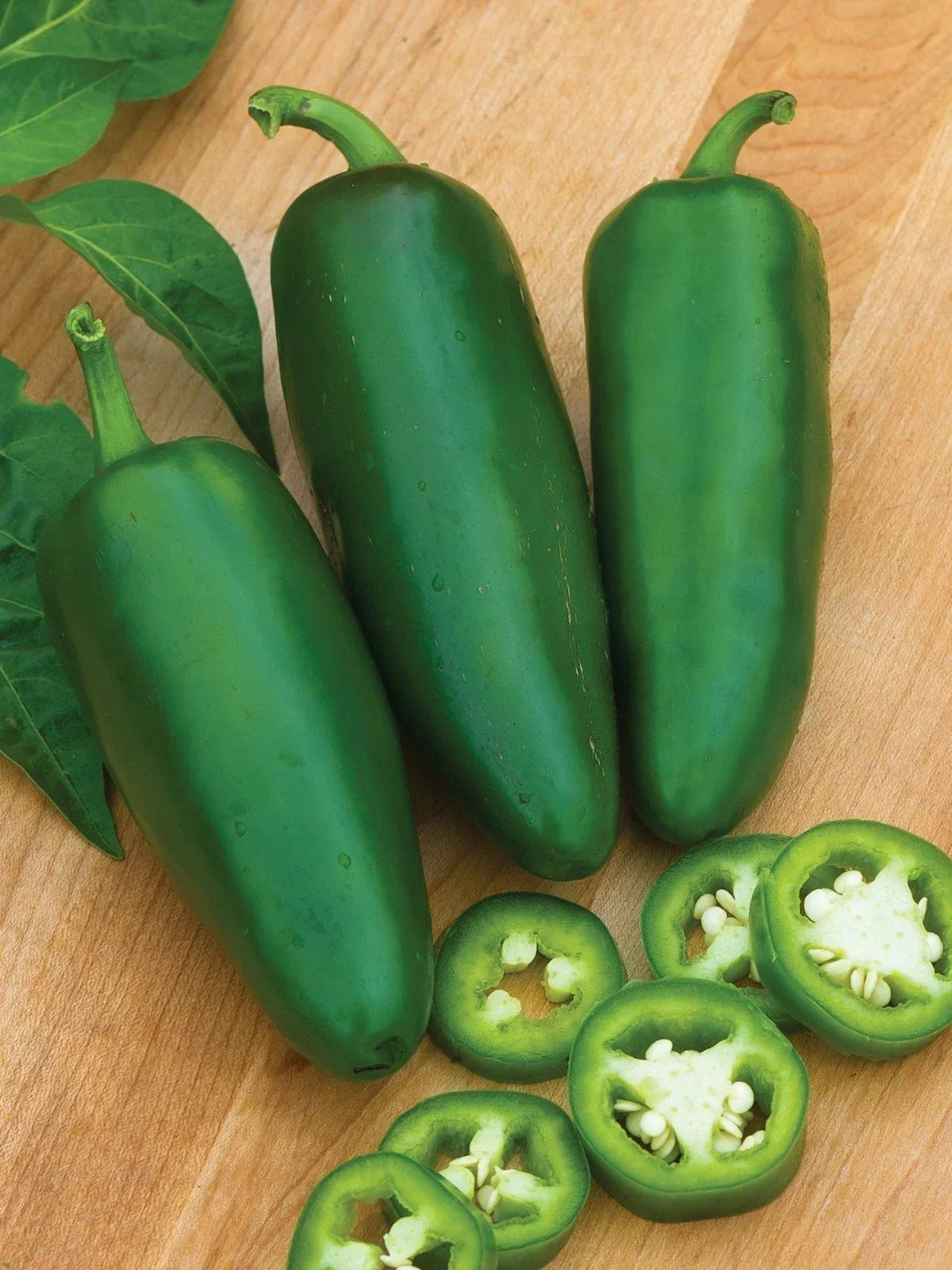 Tam Jalapeno Pepper Seeds - Organic Heirloom - Non-GMO Hot Pepper Variety - Capsicum annuum - 20 Seeds Packet