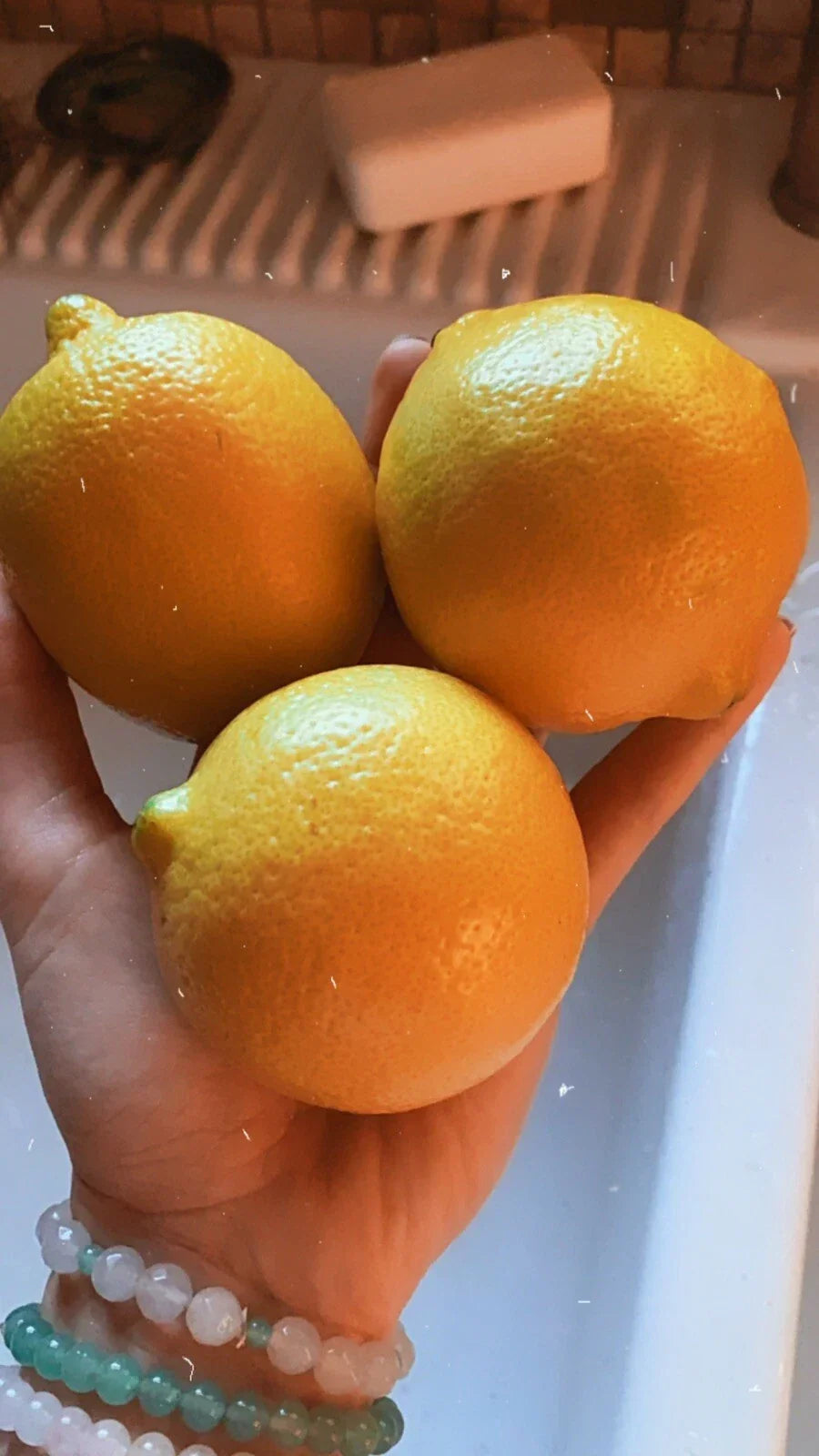 Lemon Seeds - 10 Organic Non-GMO Citrus Seeds - Pesticide-Free - Citrus limon