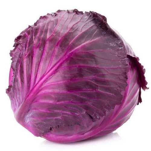 300+ Non-GMO Seeds Red Acre Cabbage Vegetable Seeds (Brassica Oleracea) for Home Garden, USA Grown, Easy to Grow