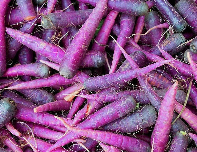Cosmic Purple Carrot Seeds - 300+ Non-GMO Vegetable Seeds - Daucus carota - Vibrant Color for Home Garden