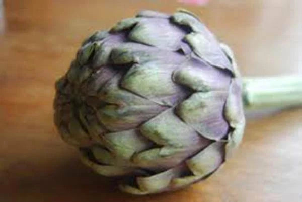 Artichoke Seeds 500 Count Heirloom Green Globe Non-GMO Cynara scolymus for Home Gardening and Sustainable Farming