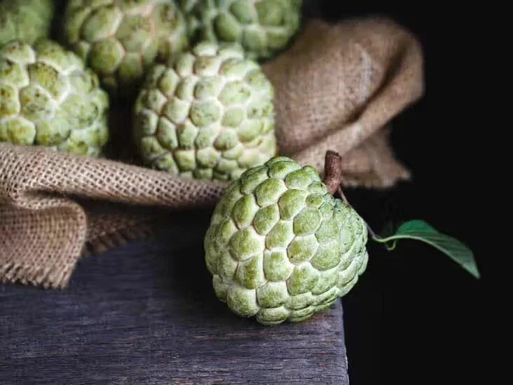 Cherimoya Seeds - 5 Organic Custard Apple Seeds for Sweet Fruit Garden - Annona cherimola - Easy to Grow, Non-GMO